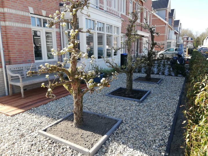 Foto 9 van Markgraaflaan 30