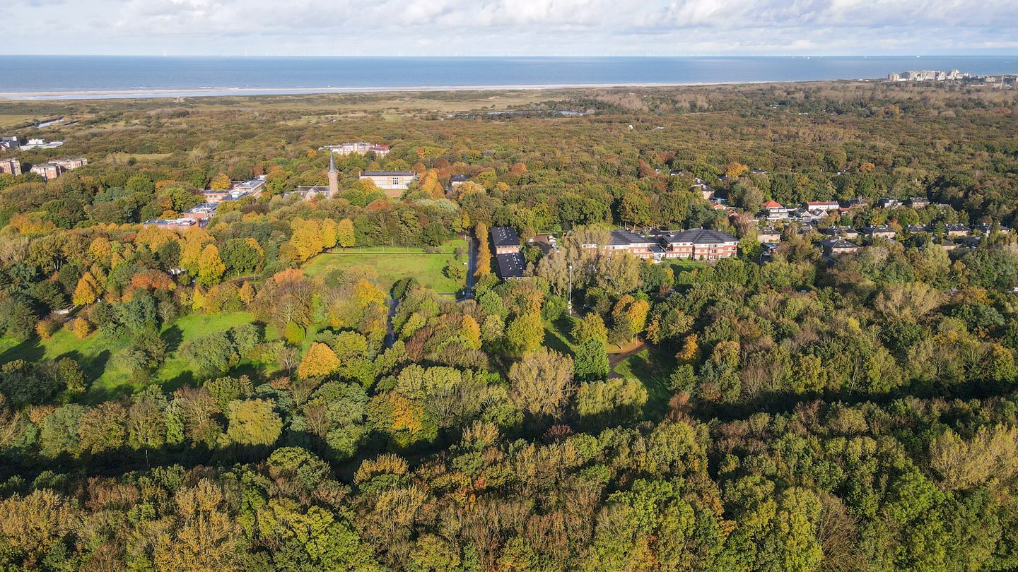 Foto 55 van Markgraaflaan 30