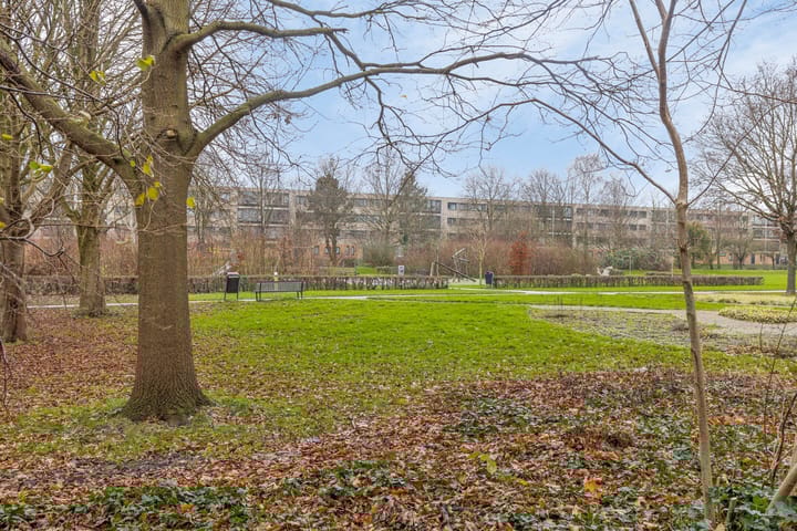 Foto 26 van Mandolinestraat 25