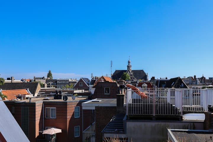 Foto 21 van Eerste Goudsbloemdwarsstraat 3-1