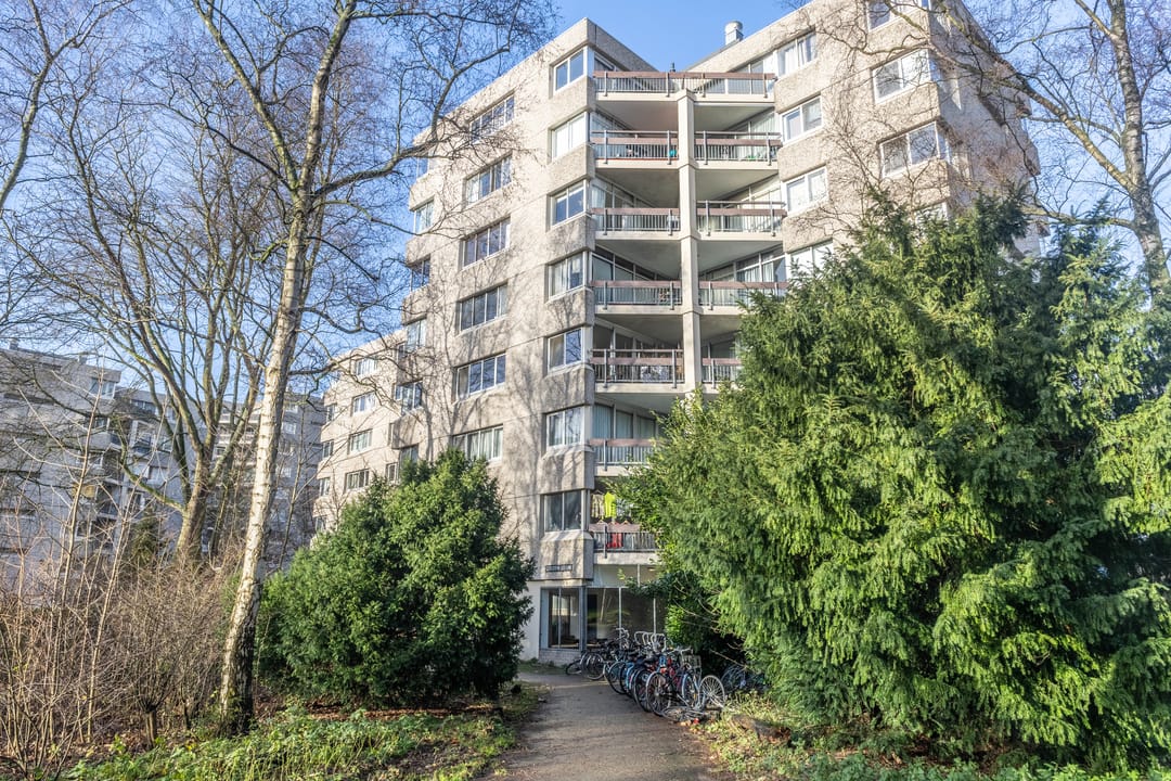 Foto 1 van Gouden Leeuw 1026