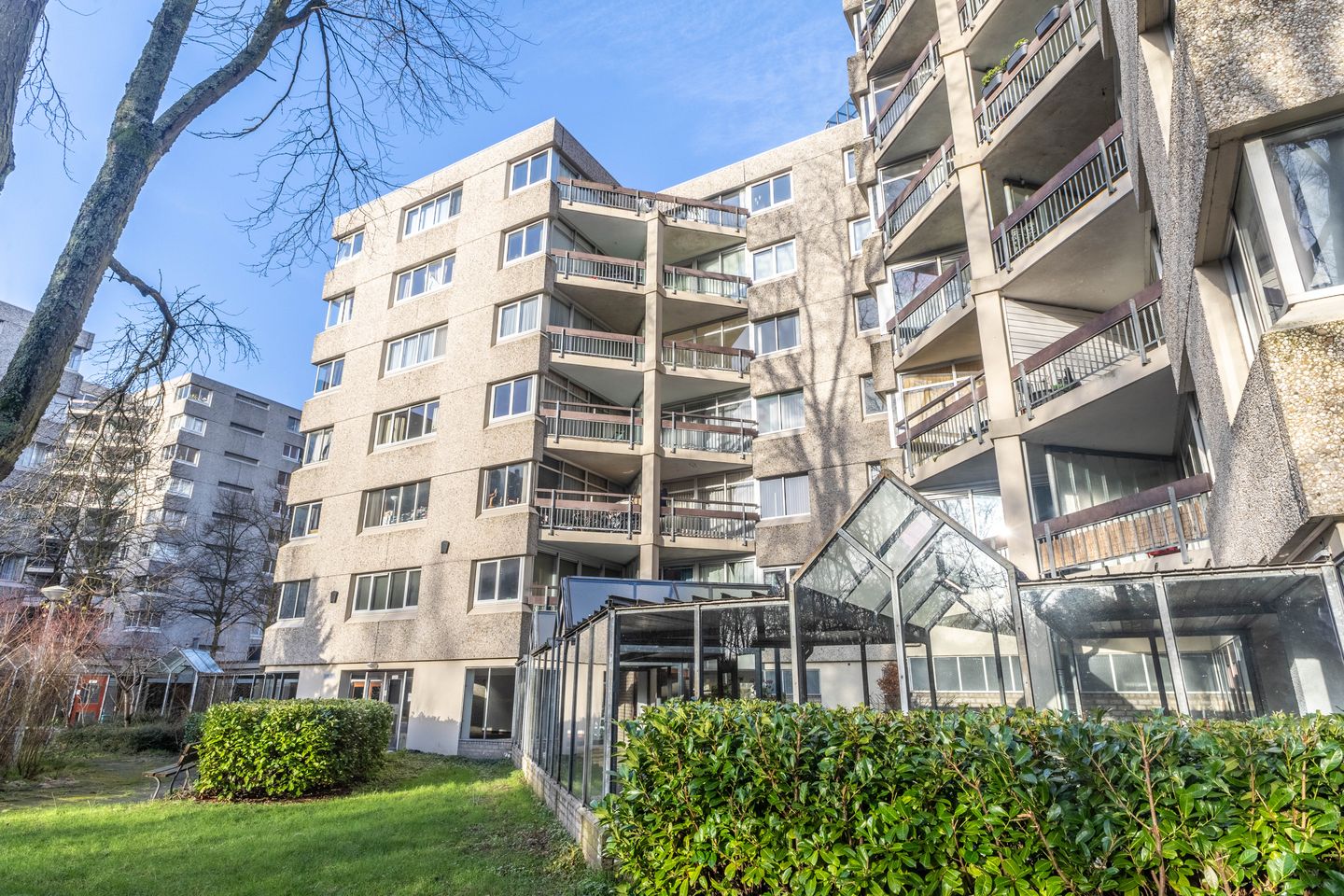 Foto 5 van Gouden Leeuw 1026