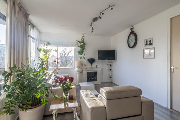 Photo 8 of Gouden Leeuw 1026