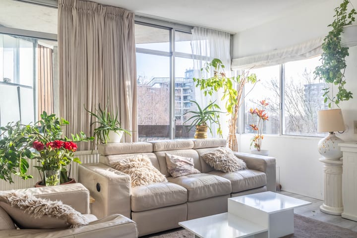 Photo 10 of Gouden Leeuw 1026