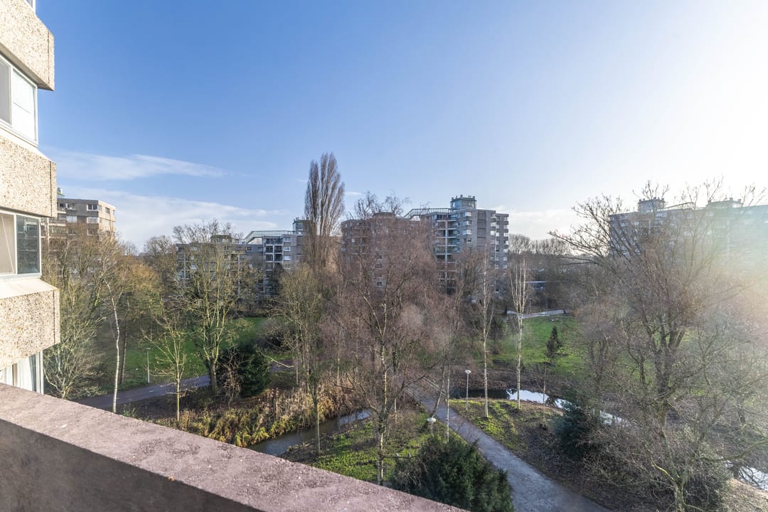 Foto 16 van Gouden Leeuw 1026