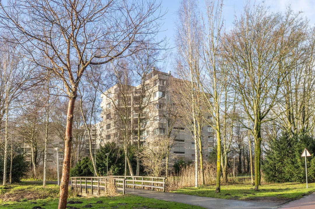 Foto 26 van Gouden Leeuw 1026