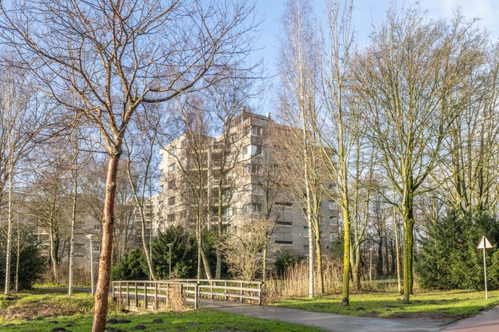 Photo 26 of Gouden Leeuw 1026