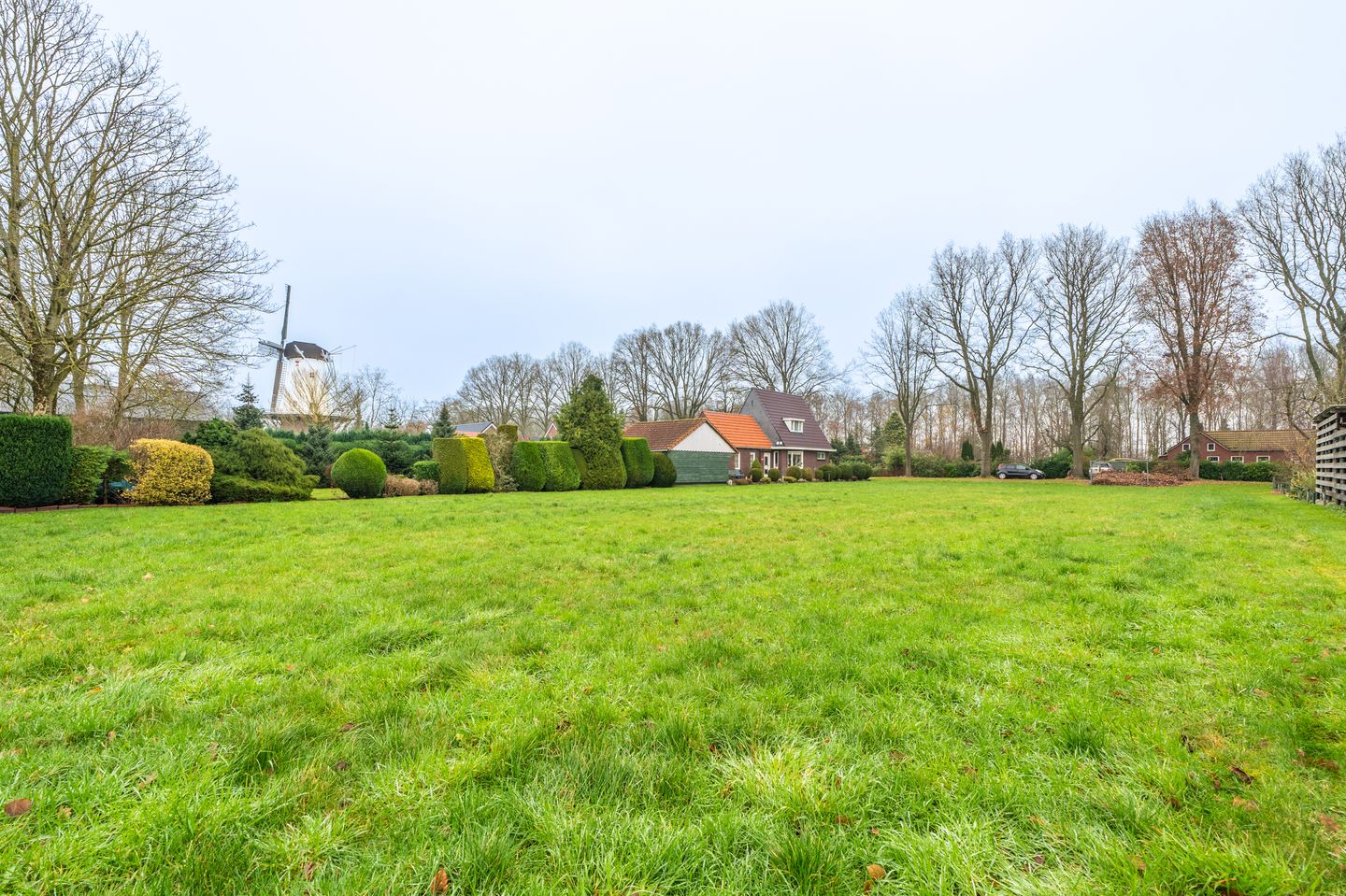 Foto 5 van Molenlaan 10