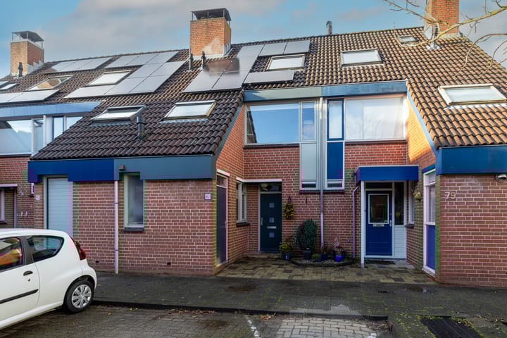 Foto 1 van Leeuwerik 81