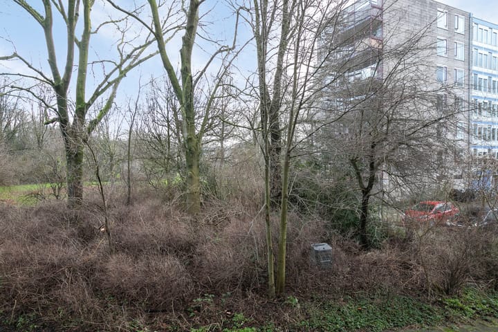 Foto 27 van Cayennedreef 4