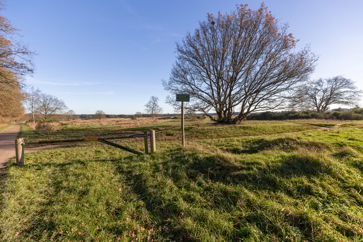 Foto 21 van Lange Heul 704