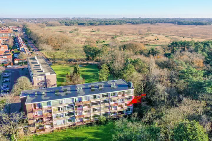 Foto 23 van Lange Heul 704