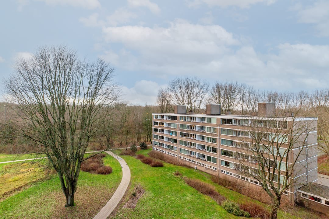 Foto 11 van Adriaan Dortsmanstraat 75