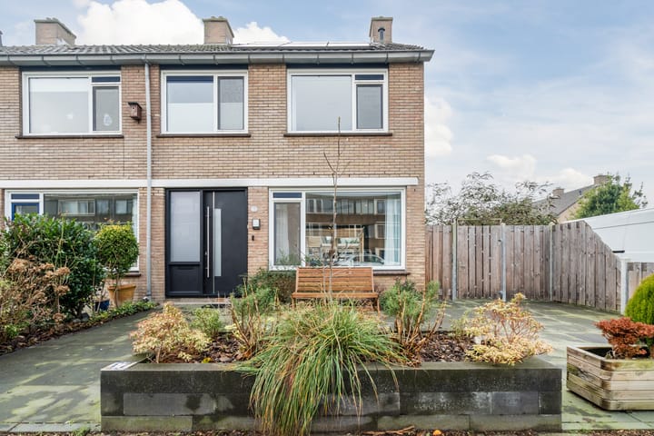 Foto 1 van Christoffelkruid 17