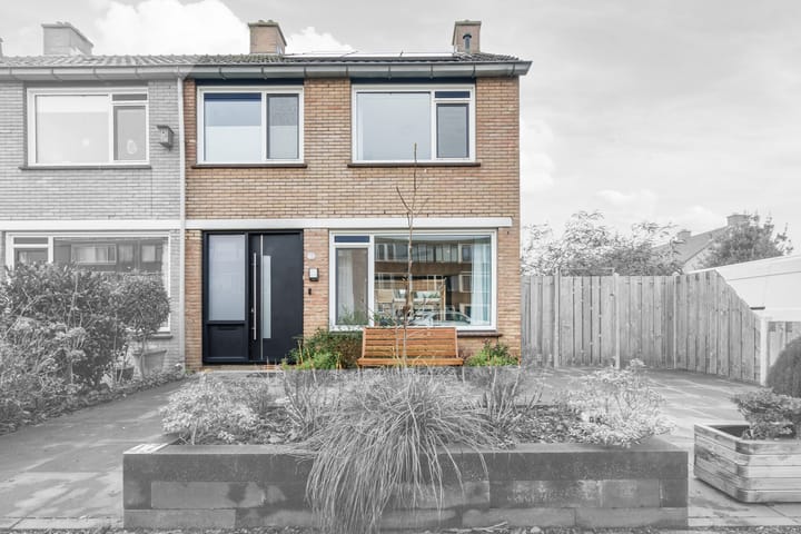 Foto 5 van Christoffelkruid 17