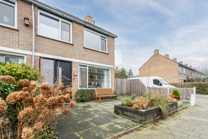 Foto 3 van Christoffelkruid 17