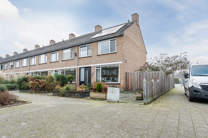 Foto 4 van Christoffelkruid 17