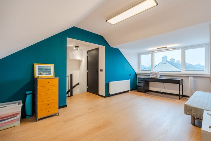 Foto 24 van Christoffelkruid 17