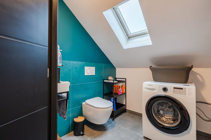 Foto 26 van Christoffelkruid 17