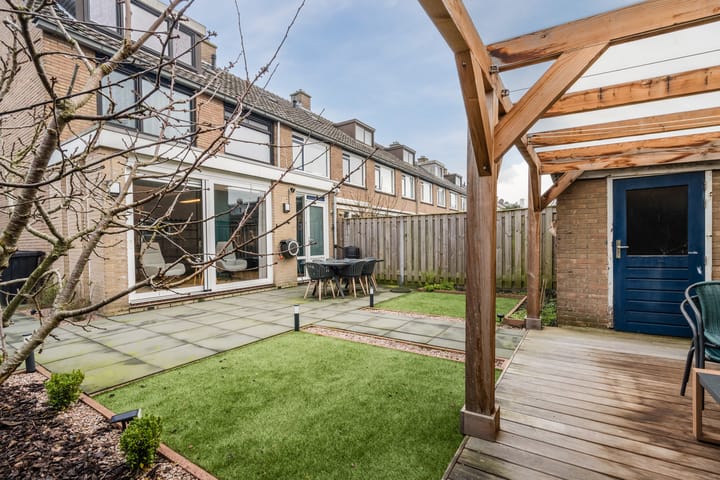 Foto 29 van Christoffelkruid 17