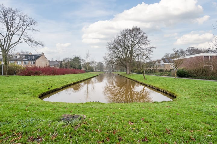 Foto 32 van Christoffelkruid 17