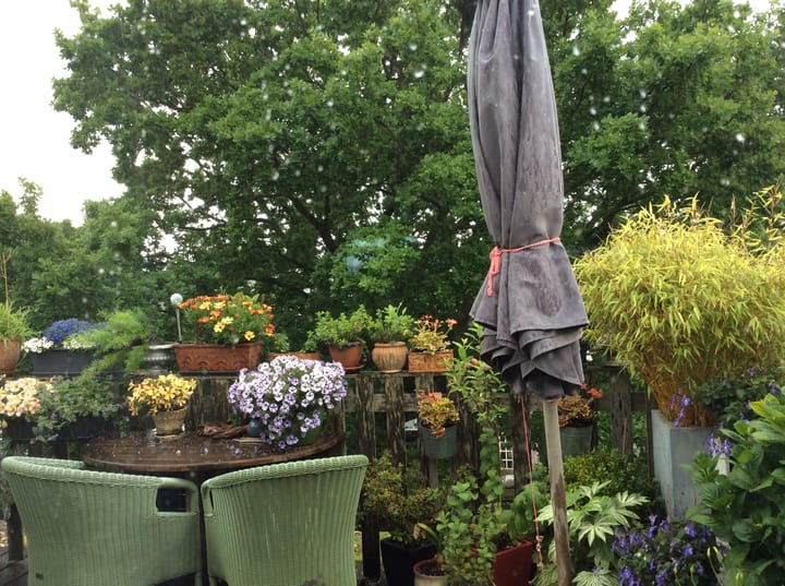 Foto 24 van Fahrenheitsingel 20