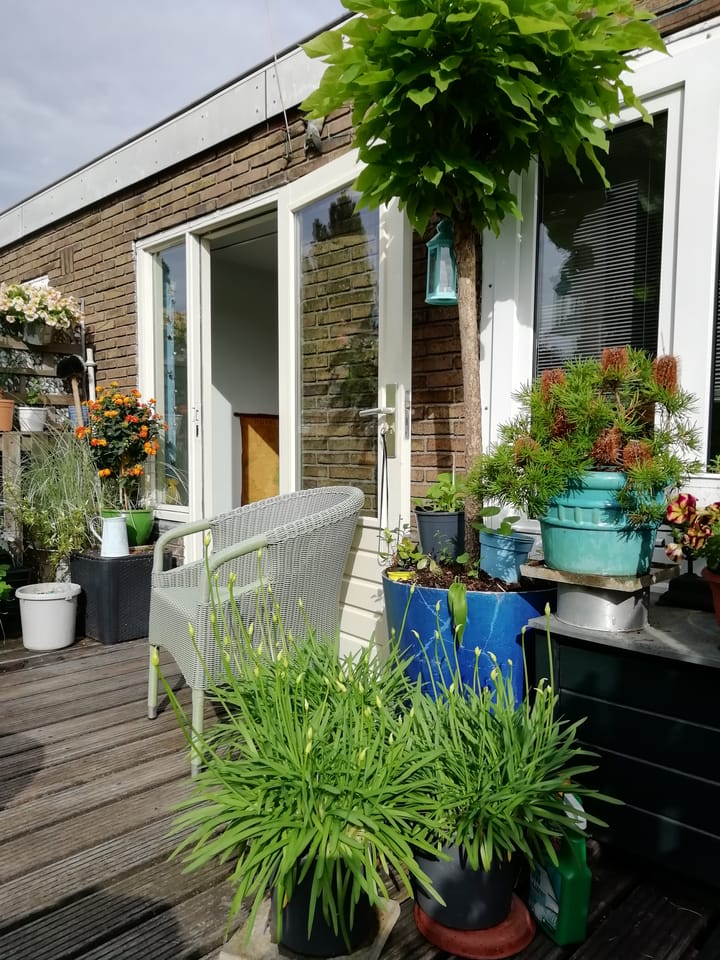 Foto 26 van Fahrenheitsingel 20