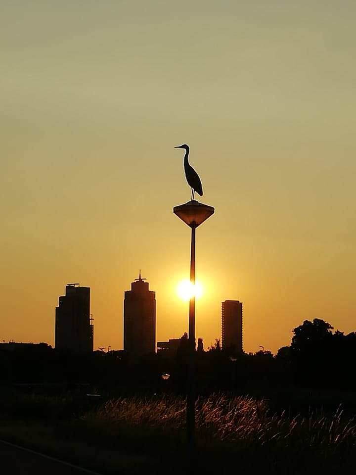 Foto 33 van Fahrenheitsingel 20