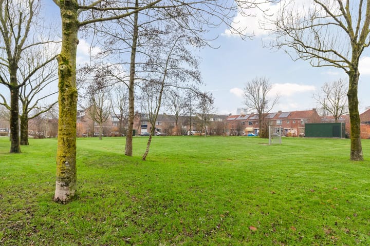 Foto 41 van Meidoornstraat 52