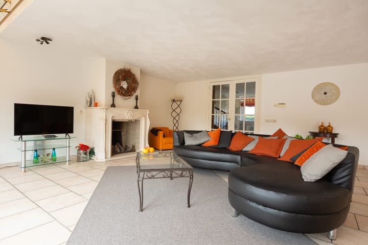 Foto 12 van Aalscholver 3