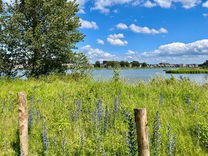 Foto 31 van Maria Austriastraat 154