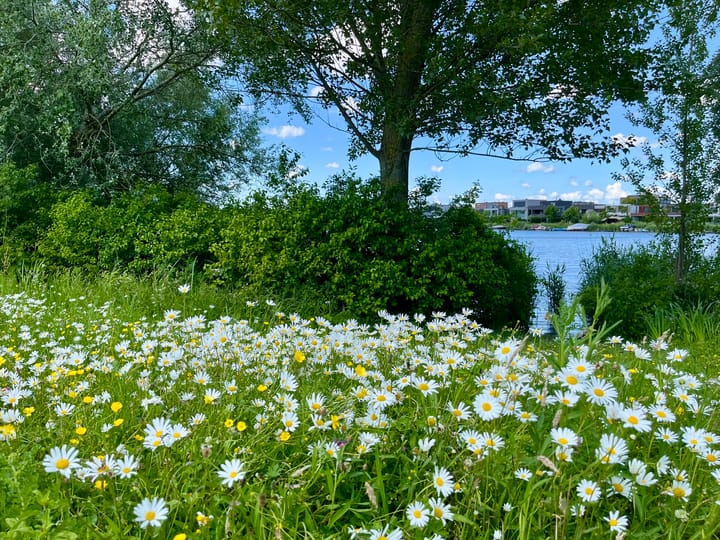 Foto 32 van Maria Austriastraat 154