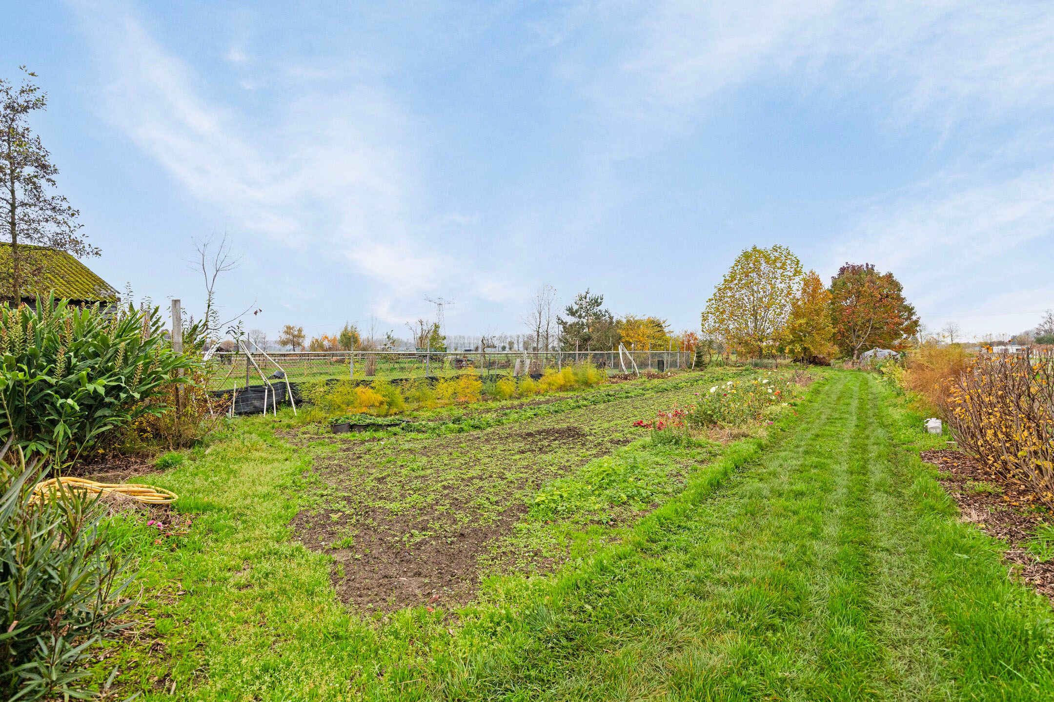 Foto 33 van De Hoeven 24-A