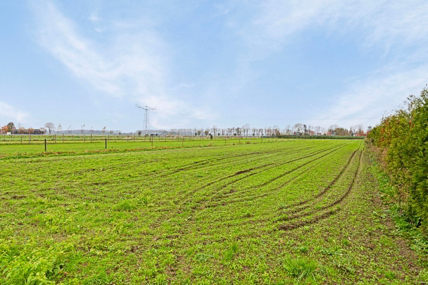 Foto 34 van De Hoeven 24-A