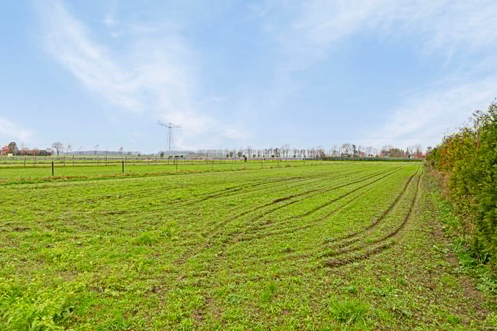 Foto 34 van De Hoeven 24-A