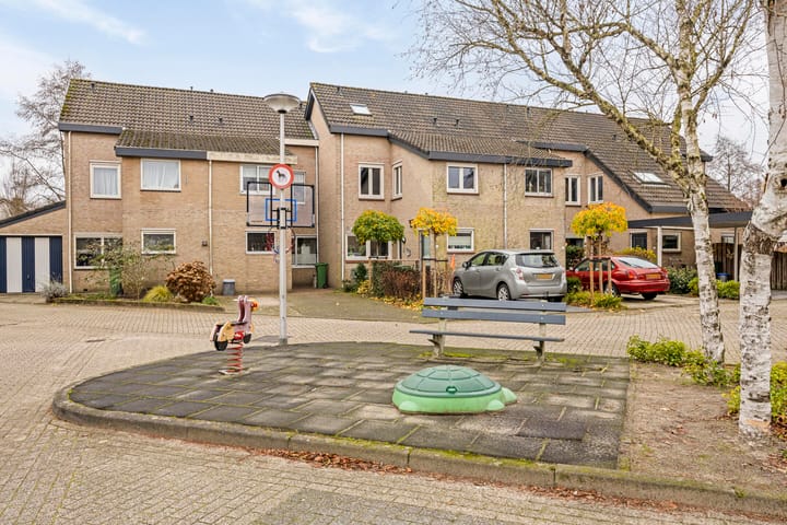 Foto 49 van Van Ruijsdaelstraat 11