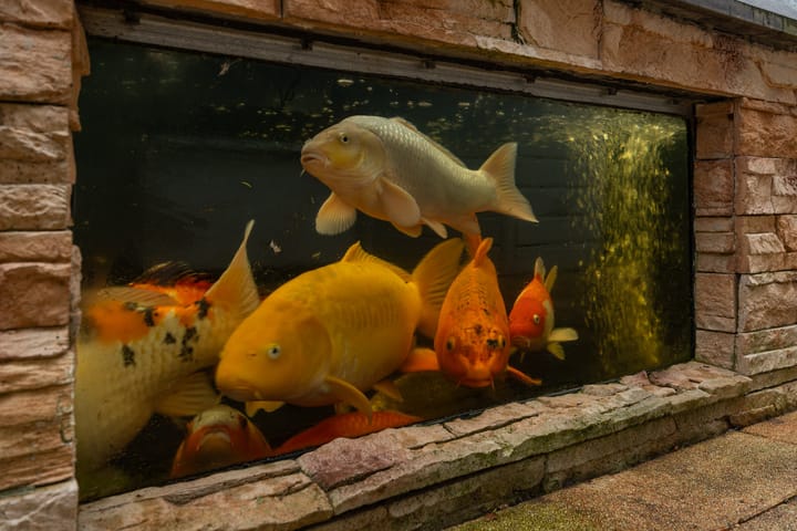 Foto 45 van Huygensstraat 121