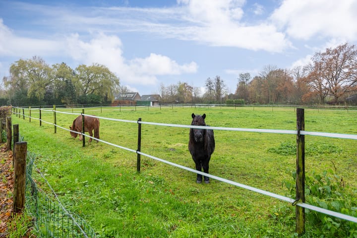 Foto 53 van Huygensstraat 121