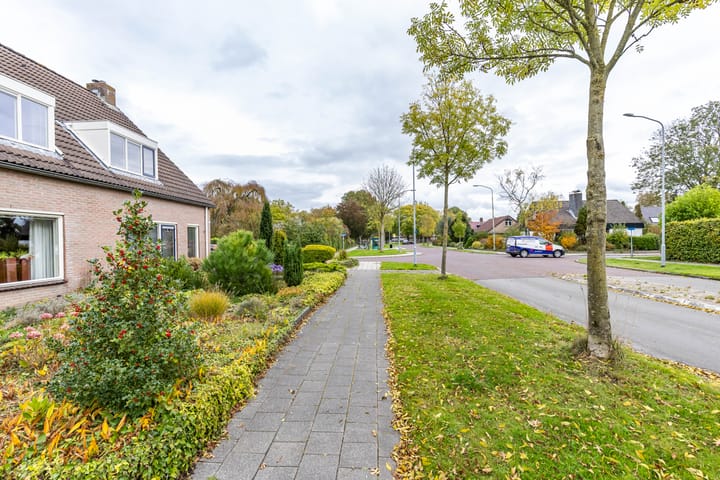 Foto 50 van Kooistukken 45