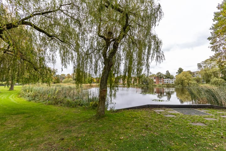 Foto 51 van Kooistukken 45