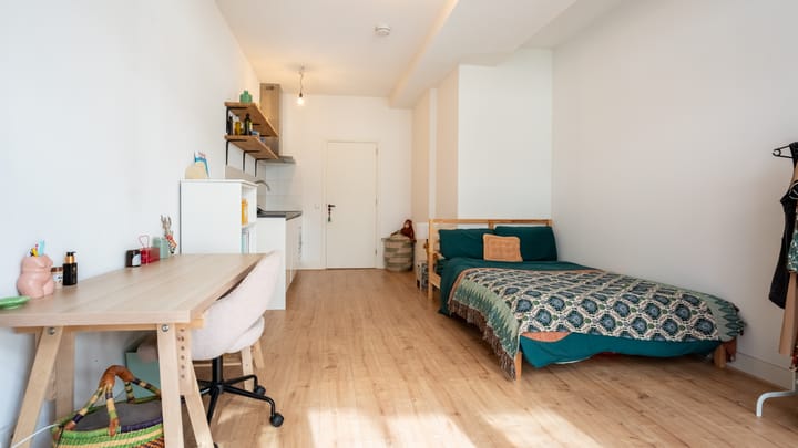 Foto 1 van Bouwelouwensteeg 52-D