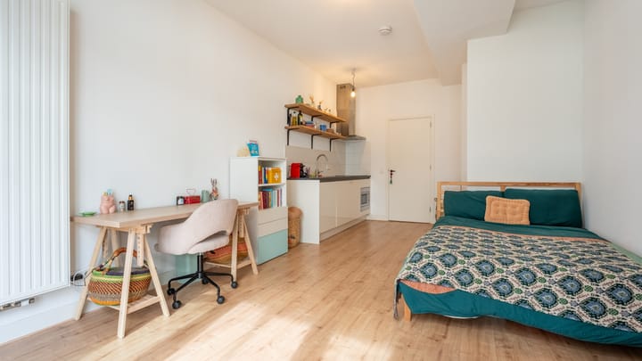 Foto 9 van Bouwelouwensteeg 52-D