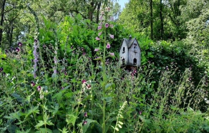 Photo 24 of Wittebergweg 18-C74