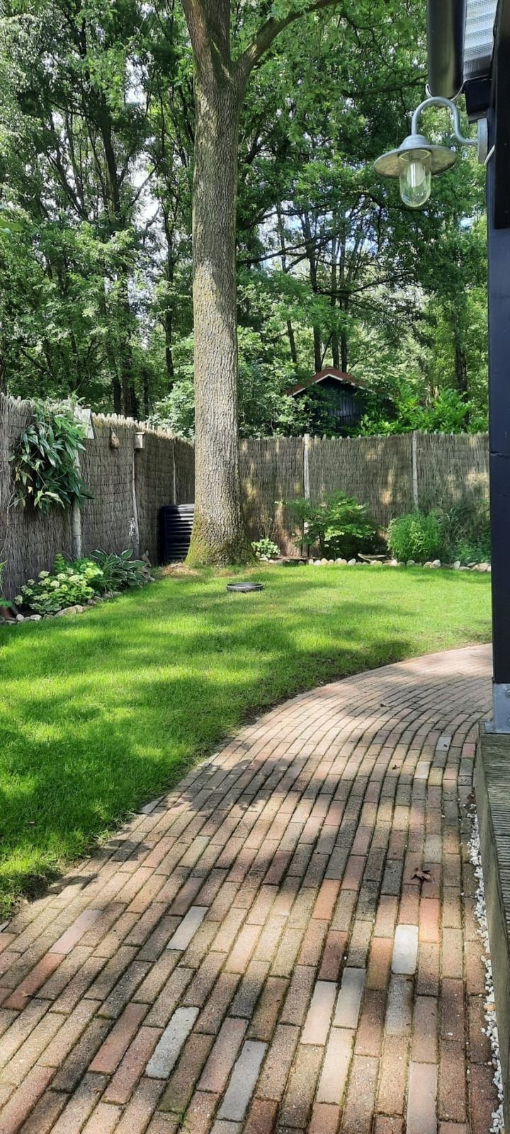 Photo 26 of Wittebergweg 18-C74