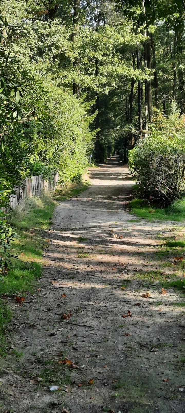 Photo 27 of Wittebergweg 18-C74