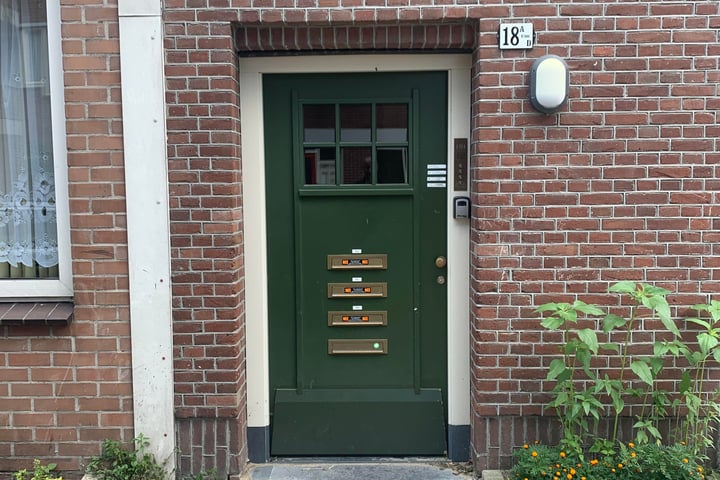 Bekijk foto 2 van Niasstraat 18-B