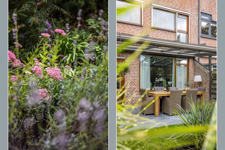 Photo 43 of Paul Huflaan 26