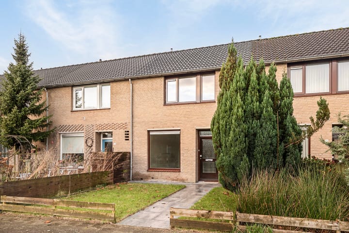 Foto 12 van De Spinster 12