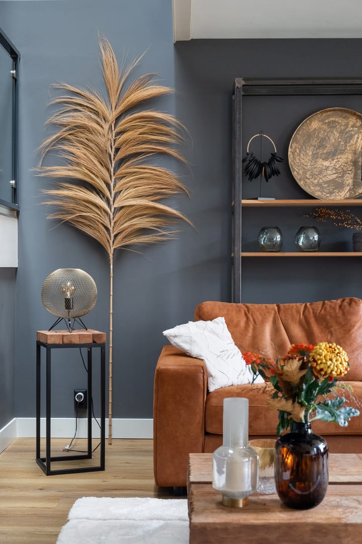 Photo 10 of Vondelstraat 4