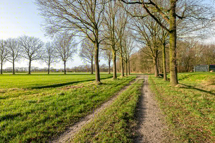 Foto 4 van Zuudgoorn 15